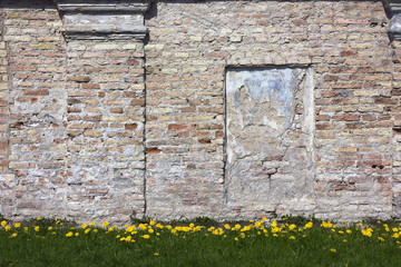 Retro vintage bricks wall and dandelions