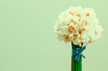 Букет нарциссов на светлом фоне