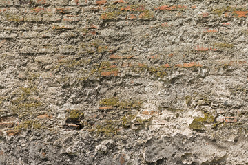 Old Brick Wall Texture Close Up