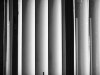 Blinds in black and white