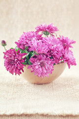 fresh purple chrysanthemum flowers on the table
