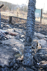 Ruins after fire