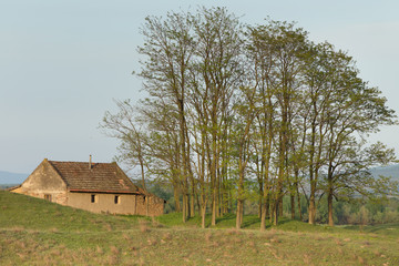 Obraz premium Rural landscape