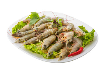 Raw tiger shrimps