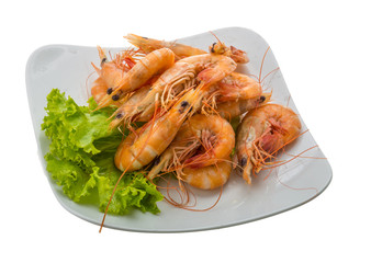 Big tiger shrimps