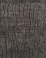 Black marble texture background. (High.Res)