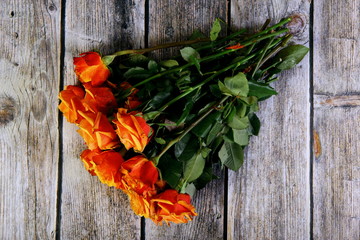 kwiaty © fotodrobik