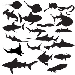 Fish silhouettes - obrazy, fototapety, plakaty