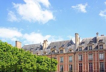 Fototapeta na wymiar Place des Vosges et végétation, square Louis XIII (Paris)