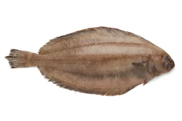 Afwasbaar Fotobehang Vis Fresh raw megrim fish