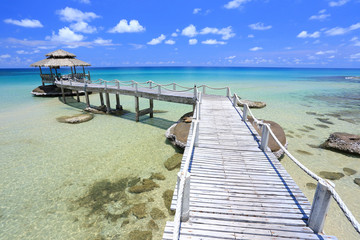 Hut in tropical sea © lllCklll