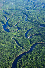 Top view on forest river
