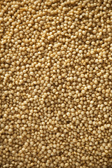 Raw Organic Amaranth Grain