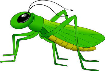 grasshopper