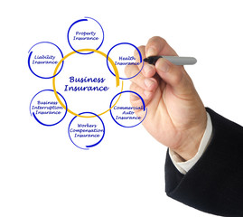 Diagram of business insurance