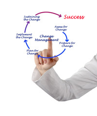 Diagram of change management