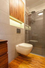 Toilet with shower