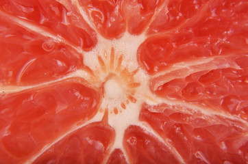 grapefruit background