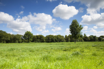 Park of Pateira de Fermentelos