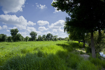 Park of Pateira de Fermentelos