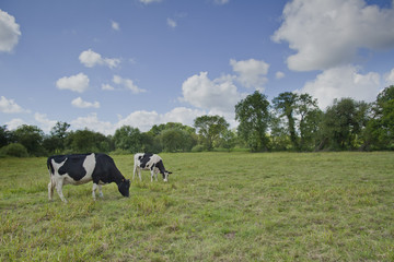 Park of Pateira de Fermentelos