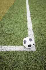 Fototapeta premium soccer ball on green grass