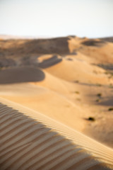Desert Wahiba Oman