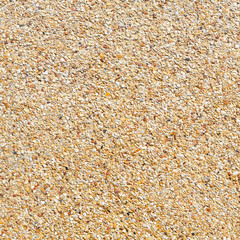 Yellow color gravel floor