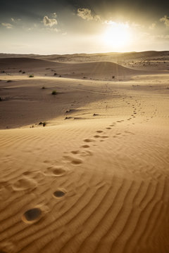 Sunset Desert Wahiba Oman