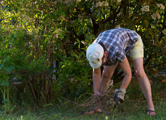Fototapeta premium Travail au jardin