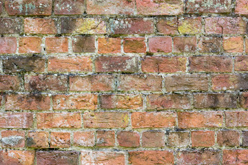 Brick Wall