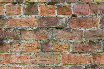 Brick Wall