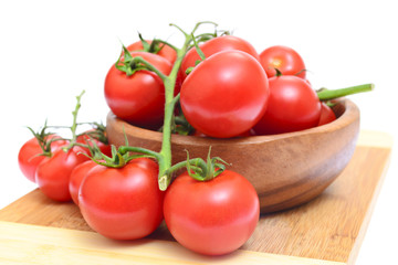 Branch of tomatoes isolated on white background