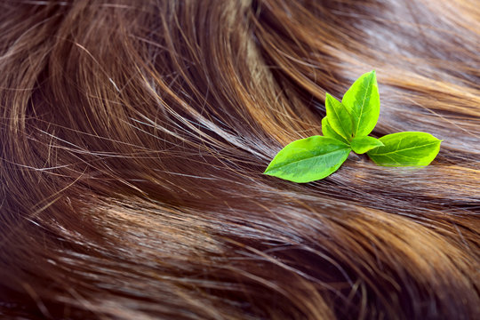 Hair care concept: beautiful shiny hair with green leaves