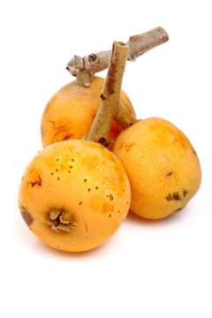 Nespole