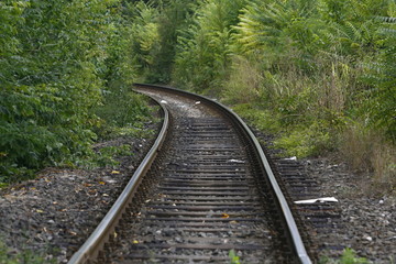 Fototapeta premium Railway track in a green forest