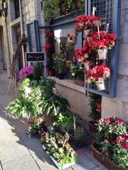 Girona flowers time