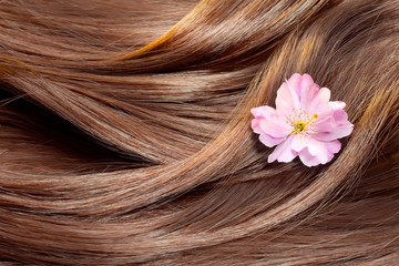 Beautiful healthy shiny hair texture with a flower - 64734527