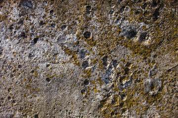 Grey concrete surface