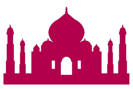 Taj Mahal rose