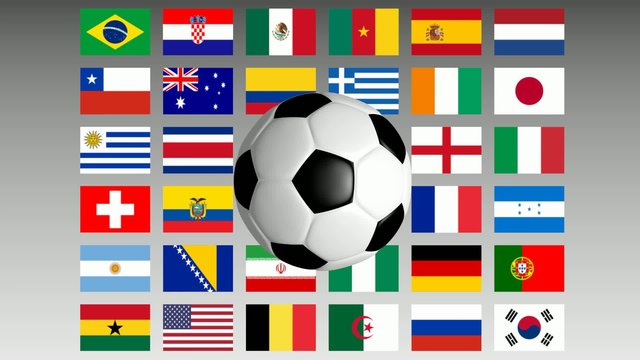 Fu&szlig;ball WM 2014 Teilnehmerl&auml;nder