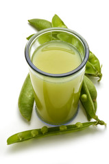 Pisum sativum Erbse 완두 Groch zwyczajny Горох посевной