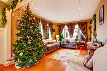 Living room on Christmas eve