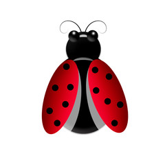 божья коровка