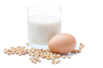 Soy milk, soy bean and egg protein nutrient set isolated on whit