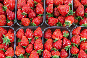 strawberries