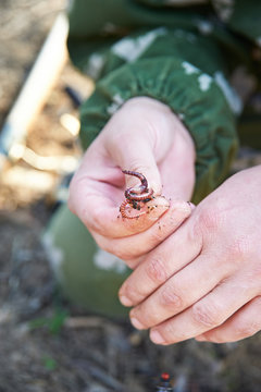 Worm on a hook