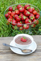 Creamy chocolate pudding on wooden table in the garden