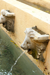 Fototapeta na wymiar Lion statue spitting water - vintage style