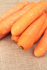carottes